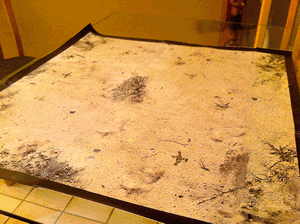 http://alkemy-the-game.com/wp-content/uploads/2013/07/tapis-desert-animation1.gif